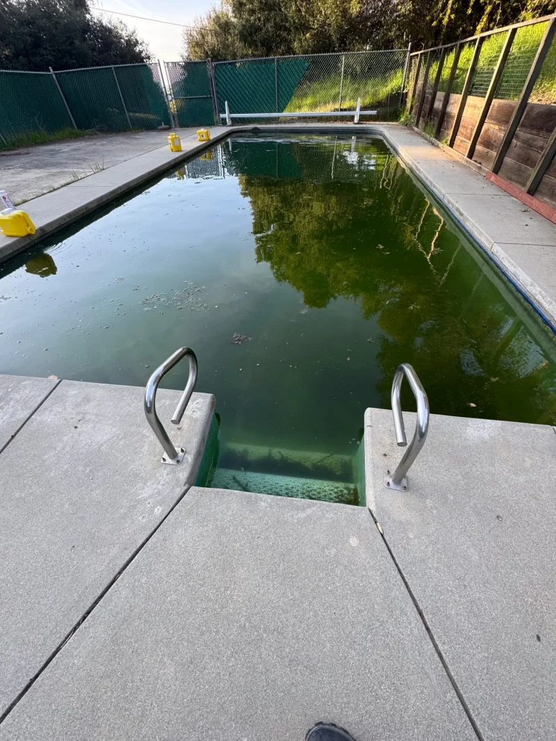Green algae-filled swimming pool before a green to clean recovery, green pool cleaning in Lake Havasu City by JM Pool Service